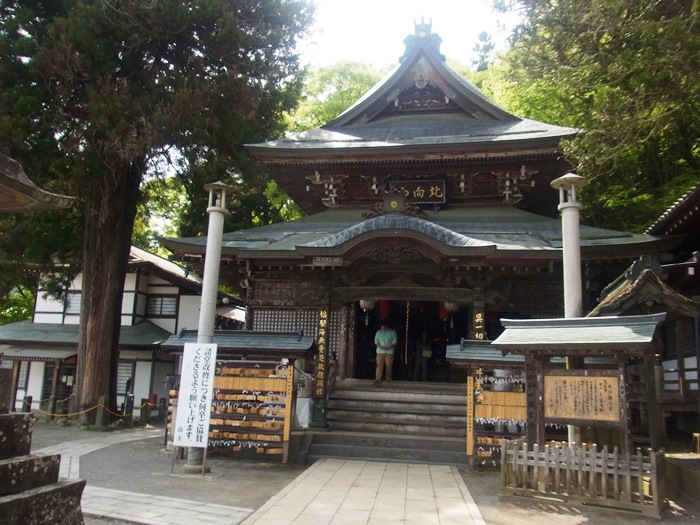 北向観音境内にある夫婦杉